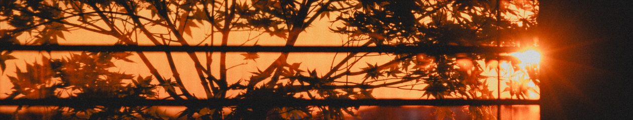 The Stockholm Review of Literature